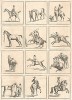 Искусство верховой езды: прогулка, охота, скачки и выездка. Английская гравюра середины XVIII века
