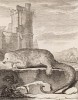 Карликовый (шёлковый) муравьед из Южной Америки (как бедняга оказался у стен европейского замка никто уже не узнает) (лист XIV иллюстраций к четвёртому тому знаменитой "Естественной истории" графа де Бюффона, изданному в Париже в 1753 году)