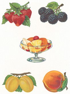 Клубника, ежевика, абрикосы и персик. 
