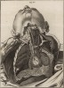Анатомия. Грудные артерии по Галлеру. (Ивердонская энциклопедия. Том I. Швейцария, 1775 год)