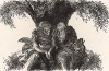 Виньетка к переписке Фридриха Великого с Эрнстом Генрихом Августом де ла Мотт Фуке (1698-1774) - прусским генералом и доверенным лицом монарха. На гравюре идеалистическое изображение вечной и преданной дружбы.