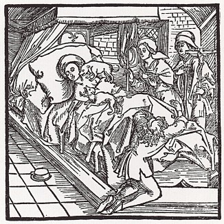 Любительница собачек на смертном одре (иллюстрация к книге "Рыцарь Башни", гравированная Дюрером в 1493 году)
