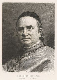 Кардинал Луи-Эдуард Пье (1815-1880), епископ Пуатье. Гравюра Фердинанда Гайяра, издание Gazette des Beaux-Arts, 1879 год.  