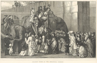 Развлечение выходного дня: дети и их родители забираются на слонов в зоологическом саду. Иллюстрация из The Graphic, влиятельной британской еженедельной газеты, выходившей в 1869-1932 гг. 