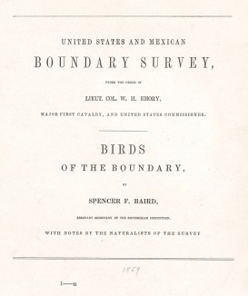 Титульный лист работы Спенсера Ф.Бэйрда о птицах американо-мексиканской границы, изданной в Вашингтоне в 1859 году. Spencer F.Baird. United States and Mexican Boundary Survey… Birds of the Boundary. Вашингтон, 1859 