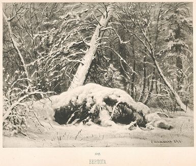 Берлога. Лист № 18 из альбома И.И. Шишкина "Рисунки углем, вопроизведенные способом фототипии", Санкт-Петербург, 1885. 