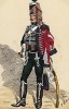 1803 г. Кавалерист 20-го полка французских конных егерей. Коллекция Роберта фон Арнольди. Германия, 1911-28