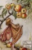 Осенние феи: фея дикой яблони