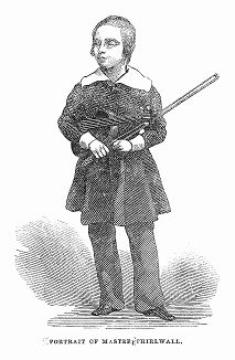Уильям Терлуолл -- талантливый скрипач-виртуоз, музыкальные способности которого проявились в очень раннем возрасте, подобно Моцарту. Гордость британского народа (The Illustrated London News №89 от 13/01/1844 г.)