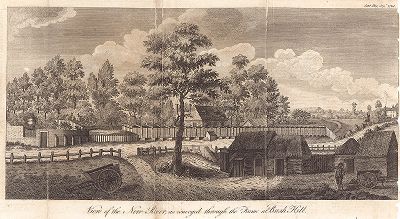 Вид на рукотворную реку Нью-Ривер в районе Буш-хилл. Иллюстрация из "Gentlemаn's magazine", сентябрь 1784 года, Лондон. 