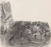 Водопад Йосемити и индейцы, купающиеся в реке Мерсид-ривер. Йосемити, штат Калифорния. Лист из издания "Picturesque America", т.I, Нью-Йорк, 1872.