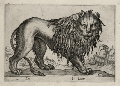 Лев (лист из альбома Nova raccolta de li animali piu curiosi del mondo disegnati et intagliati da Antonio Tempesta... Рим. 1651 год)