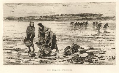 Собиратели мидий. Лист из серии "Галерея офортов". Лондон, 1880-е