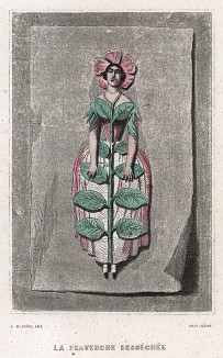 Гербарий: засушенный Барвинок. Les Fleurs Animées par J.-J Grandville. Париж, 1847