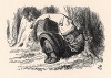 На Короле был красный ночной колпак с кисточкой и старый грязный халат, а лежал он под кустом и храпел с такой силой, что все деревья сотрясались (иллюстрация Джона Тенниела к книге Льюиса Кэрролла «Алиса в Зазеркалье». Лондон, 1870 год)