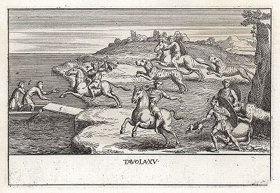 Охота на тигров. Le Pitture Antiche del Sepolcro de' Nasonii...", Рим, 1702 год