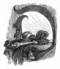 Инициал (буквица) D, предваряющий главу "Смерть отца" книги Франца Кюглера "История Фридриха Великого". Рисовал Адольф Менцель. Лейпциг, 1842