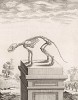 Скелет (лист XLVI иллюстраций к седьмому тому знаменитой "Естественной истории" графа де Бюффона, изданному в Париже в 1758 году)