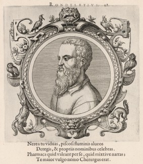 Гийом Ронделе (1507--1566 гг.) -- врач, фармацевт и один из основателей современной ботаники (лист 42 иллюстраций к известной работе Medicorum philosophorumque icones ex bibliotheca Johannis Sambuci, изданной в Антверпене в 1603 году)