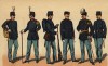 Голландская пехота: музыканты в парадной форме, солдат в полевой форме, офицеры в повседневной и парадной формах одежды, ротный писарь