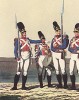 Баварская пехота в 1814 году (из популярной в нацистской Германии работы Мартина Лезиуса Das Ehrenkleid des Soldaten... Берлин. 1936 год)
