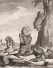 Юность ленивца (лист LXIII иллюстраций к пятому тому знаменитой "Естественной истории" графа де Бюффона, изданному в Париже в 1755 году)