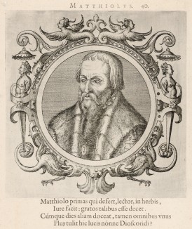 Пьер Андреа Маттиоли (1500--1577 гг.) -- венецианский врач и ботаник XVI века (лист 40 иллюстраций к известной работе Medicorum philosophorumque icones ex bibliotheca Johannis Sambuci, изданной в Антверпене в 1603 году)