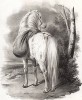 Цыганский пони. Лист 10 из книги The Book of animals drawn from nature, выпущенной одним из лучших художников-анималистов середины XIX века Уильямом Барро и известным литографом Томасом Фэрлендом. Лондон, 1846 