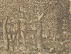 Грехопадение Адама и Евы. Иллюстрация к самому красивому изданию Библии, созданному в середине XVI века в Виттенберге (издатель Ганс Крафт). 
