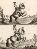Выездка. Вставание на дыбы и курбет (Ивердонская энциклопедия. Том VII. Швейцария, 1778 год)