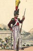 1809 г. Вольтижер 13-й полубригады португальского легиона Великой армии Наполеона. Коллекция Роберта фон Арнольди. Германия, 1911-29