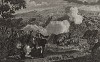 Семилетняя война. Сражение у Миндена 1 авг. 1759 г. между армией англичан, пруссаков и их союзников под началом Фердинанда Брауншвейгского и армией французов и саксонцев маркиза де Контаде. Французы разбиты и не могут вторгнуться в Ганновер. Лондон, 1785