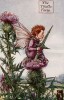 Летние феи: фея цветов чертополоха