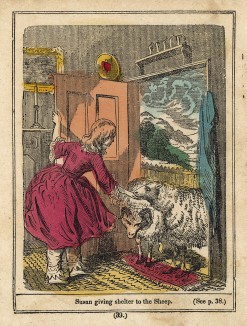 Девочка Сьюзан дает приют овцам. Гравюра из детской книги "Rich and Poor...", изданной в США, 1850