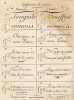 Искусство чистописания. Виды почерков (Ивердонская энциклопедия. Том IV. Швейцария, 1777 год)