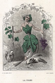 Виноградная лоза во хмелю и наблюдающий за ней воробушек. Les Fleurs Animées par J.-J Grandville. Париж, 1847