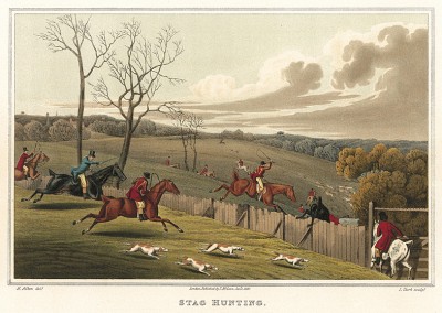 Псовая охота на оленя, также называемая травлей. The National Sports of Great Britain by Henry Alken. Лондон, 1903