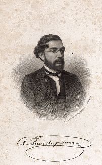 Александр Федорович Гильфердинг (1831-1872) - ученый-славяновед, действительный статский советник. 