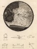 Физика. Северное сияние (Ивердонская энциклопедия. Том IX. Швейцария, 1779 год)