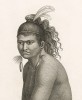 Воин маори. Atlas pour servir à la relation du voyage à la recherche de La Pérouse, л.25. Париж, 1800