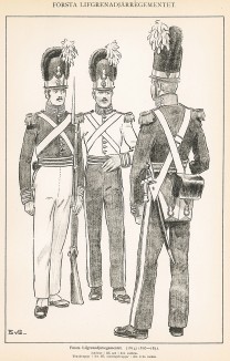 Офицер и солдаты первого гренадерского полка шведской лейб-гвардии в униформе образца 1814-31 гг. Svenska arméns munderingar 1680-1905. Стокгольм, 1911