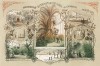 Императорский Ботанический сад в Санкт-Петербурге. Русский художественный листок, №6, 1861