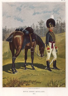 Офицер королевской конной артиллерии, 1815 год (лист XI работы "История мундира королевской артиллерии в 1625--1897 годах", изданной в Париже в 1899 году)