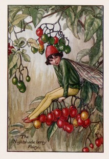Осенние феи: фея ягод паслена