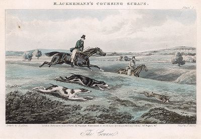 Погоня за зайцем. Акватинта Генри Алкена из серии R. Ackermann's Сoursing Scraps, Лондон, 1850