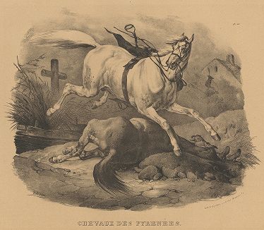 Пиренейская лошадь. Литография Виктора Адама.