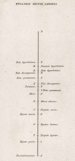 Музыка. Деление канона Евклида. Encyclopaedia Britannica. Эдинбург, 1808