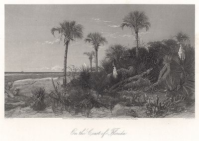 На побережье Флориды. Лист из издания "Picturesque America", т.I, Нью-Йорк, 1873.
