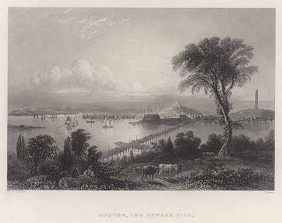 Вид на Бостон и холм Банкер-Хилл. Gallery of Historical and Contemporary Portraits… Нью-Йорк, 1876
