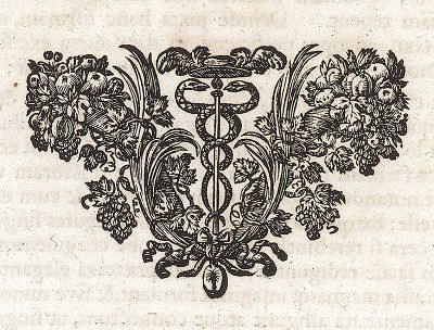 Виньетка с кадуцеем. Лист из Sculpturae veteris admiranda ... Иоахима фон Зандрарта, Нюрнберг, 1680 год. 